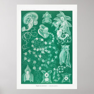 vierkant illustratie poster