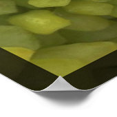 Vierkante druiven poster (Hoek)