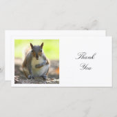 Vierkante foto - eekhoorn bedankkaart (Voorkant / Achterkant)