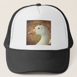 Vierkante foto - Goose (close-up) Trucker Pet