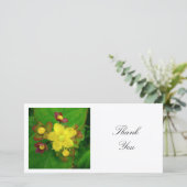 Vierkante foto - Hypericum Bedankkaart (Staand voorkant)
