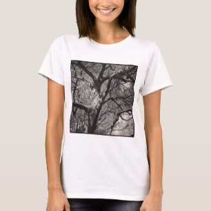 Vierkante foto - Magnolia Tree in het begin van de T-shirt