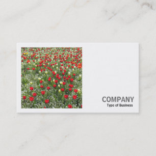 Vierkante foto (v2) - Bed of Tulips Visitekaartje