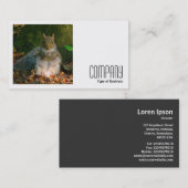 Vierkante foto (v2) - Grijze eekhoorn Visitekaartje (Voorkant / Achterkant)