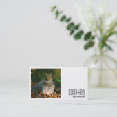 Vierkante foto (v2) - Grijze eekhoorn Visitekaartje (Staand voorkant)