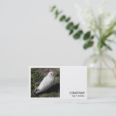 Vierkante foto (v2) - Witte duif Visitekaartje (Staand voorkant)