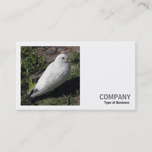 Vierkante foto (v2) - Witte duif Visitekaartje (Voorkant)
