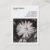 Vierkante foto (v3) - Daisy Visitekaartje (Achterkant)