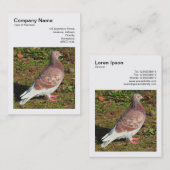 Vierkante foto (v3) - Duif Visitekaartje (Voorkant / Achterkant)