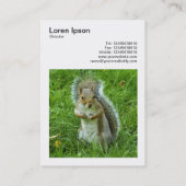 Vierkante foto (v3) - Gestartled grijze eekhoorn Visitekaartje (Achterkant)