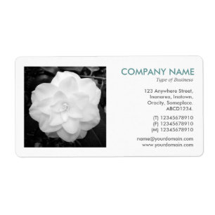 Vierkante foto - Witte Camelia Etiket