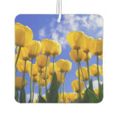 Vierkante gele Tulpen Luchtverfrisser (Achterkant)