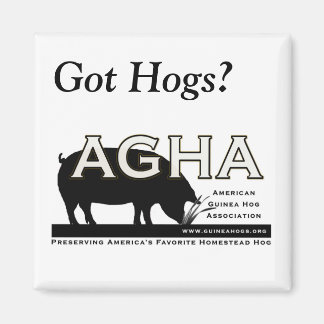 Vierkante "Got Hogs?" magneet