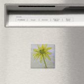 vierkante magneet (Insitu (Vaatwasser))