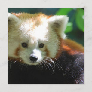 Vierkante uitnodiging - Gepersonaliseerd