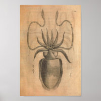 vierkantskunst Afdrukvoorbeeld Zee Life Illustrat