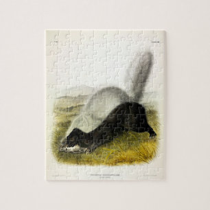 Vierluiken van Audubon van Skunk (Texan Skunk) Legpuzzel