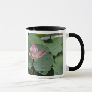 Vietnam, bij Saigon) Mijn Tho. Vinh Trang 2 Mok