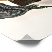 Vietnam Era Medic Poster (Hoek)