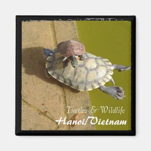 Vietnam, Hanoi, Turtles (Magnet) Magneet
