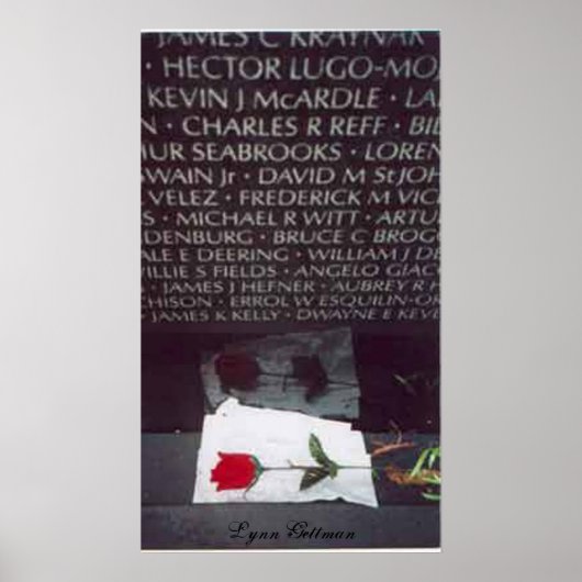 Vietnam Memorial Poster (Voorkant)