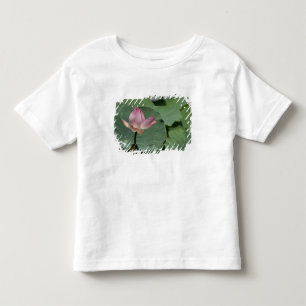 Vietnam, nabij Saigon) My Tho. Vinh Trang 2 Kinder Shirts