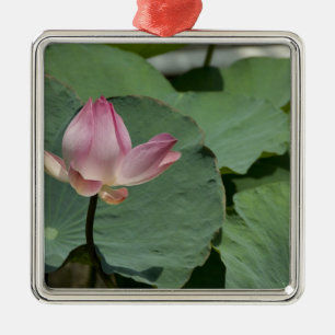 Vietnam, nabij Saigon) My Tho. Vinh Trang 2 Metalen Ornament