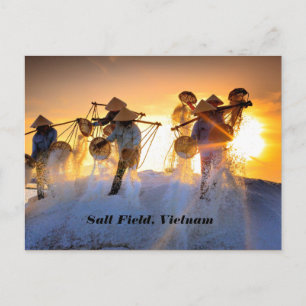 Vietnam Salt Field Briefkaart