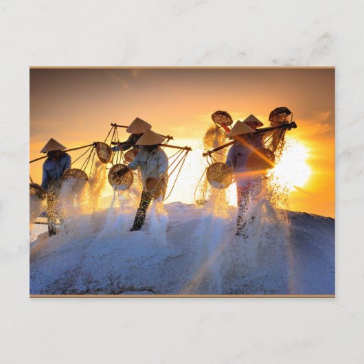 Vietnam Salt Field Briefkaart (Voorkant)