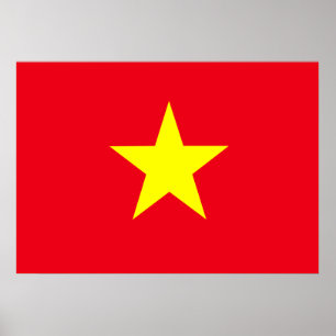 Vietnam vlag poster