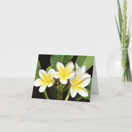 Vietnamees Frangipani All Occasion Notecard Bedankkaart