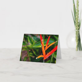 Vietnamese Heliconia Alle gelegenheden Notecard Bedankkaart