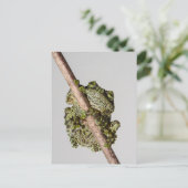 Vietnamese Mossy Frog on a Branch Briefkaart (Staand voorkant)