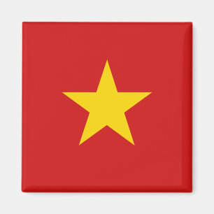 Vietnamese vlag magneet
