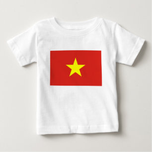 Vietnamese vlag (Vietnam)