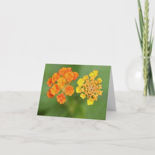 Vietnamien Lantana Tous les Cartes pour notes d'oc (Devant)