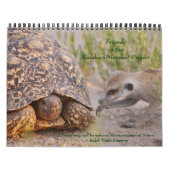 Vieux amis, nouveaux amis - calendrier 2011 de (Protection)