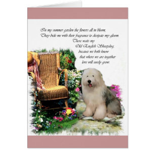 Vieux anglais Sheepdog Art Cadeaux