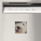 Vieux anglais Sheepdog Magnet - visage de neige (In Situ (Lave-vaisselle))