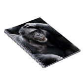 Vieux carnet de Chimpanzé (Côté Droit)