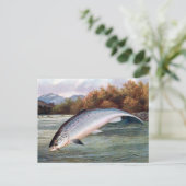 Vieux carte postale - Saumon (Debout devant)