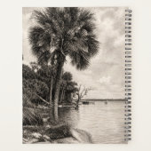 Vieux chêne de Floride Graphite Hammock Sketch | R (Dos)