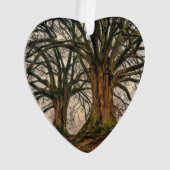 Vieux chêne en hiver (devant)