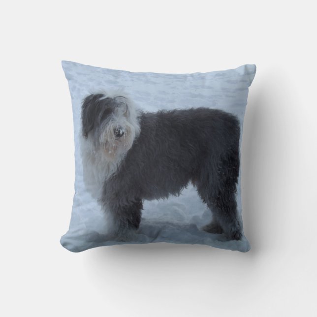 Vieux coussin anglais de chien de berger - chien (Recto)
