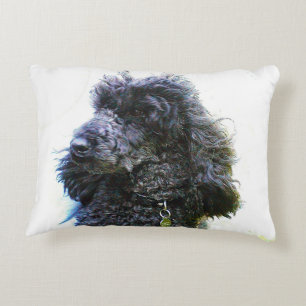 Vieux coussin bon marché de caniche