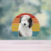 Vieux Dons-Chiens Anglais Pour Chien Vintage Dulux (Neutre)