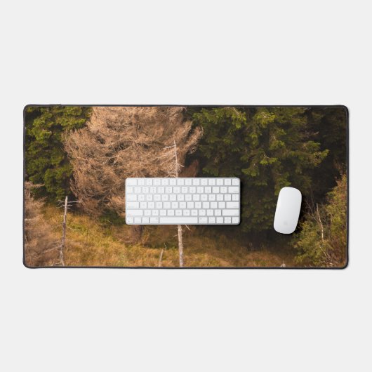 Vieux épinette debout fier (Clavier et souris)