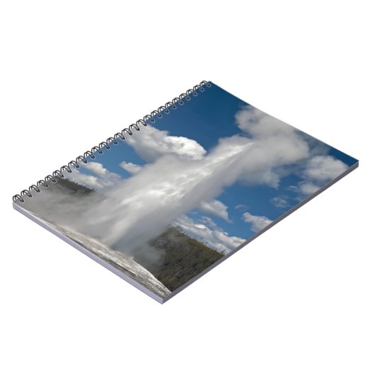 Vieux fidèles - Carnet (Côté gauche)