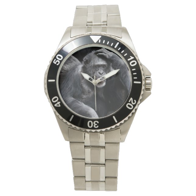 Vieux montres Chimpanzé (devant)
