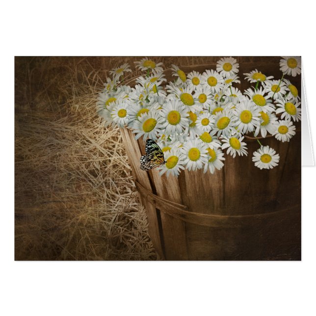 Vieux panier (Devant Horizontal)